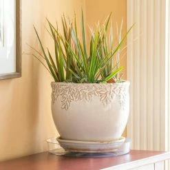 Vigoro 10 in. Plastic Plant Saucer 13 Vigoro 10 in. Plastic Plant Saucer -VIGOR Plants Shop vigoro planter saucers vs10vg fa 1000