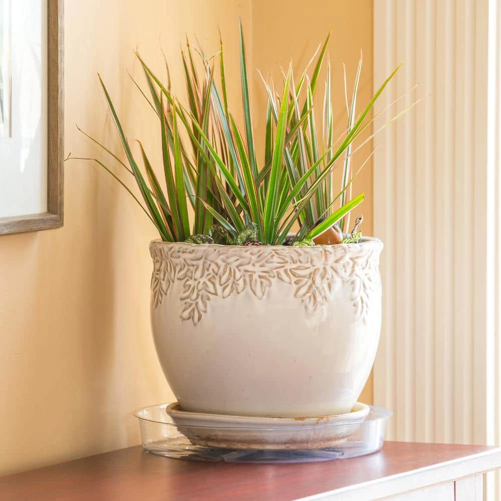 Vigoro 10 in. Plastic Plant Saucer 8 Vigoro 10 in. Plastic Plant Saucer - Image 6