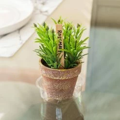 Vigoro 4 in. Plastic Plant Saucer -VIGOR Plants Shop vigoro planter saucers vs4vg 1f 1000