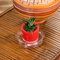 Vigoro 4 in. Plastic Plant Saucer -VIGOR Plants Shop vigoro planter saucers vs4vg 4f 1000