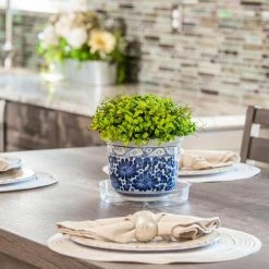 Vigoro 6 in. Plastic Plant Saucer -VIGOR Plants Shop vigoro planter saucers vs6vg 1f 1000