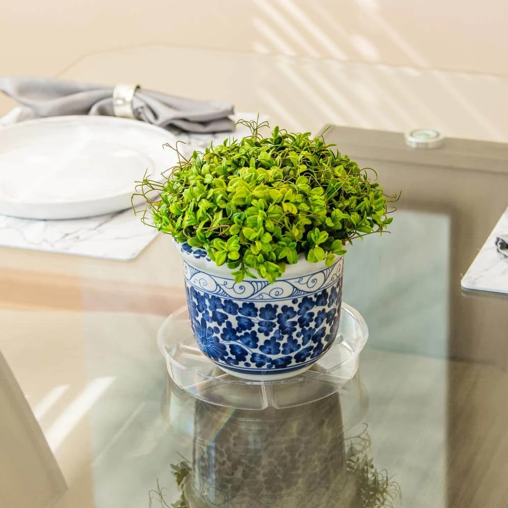 Vigoro 8 in. Plastic Plant Saucer 6 Vigoro 8 in. Plastic Plant Saucer - Image 4