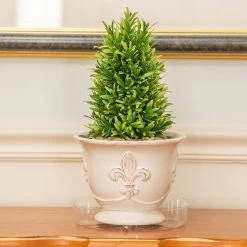 Vigoro 8 in. Plastic Plant Saucer 16 Vigoro 8 in. Plastic Plant Saucer -VIGOR Plants Shop vigoro planter saucers vs8vg fa 1000