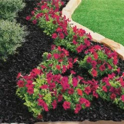 Vigoro 37.5 cu. ft. Black Recycled Rubber Mulch (25 Bags) 14 Vigoro 37.5 cu. ft. Black Recycled Rubber Mulch (25 Bags) -VIGOR Plants Shop vigoro rubber mulch gn15bk25 c3 1000