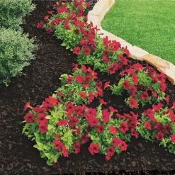 Vigoro 37.5 cu. ft. Brown Recycled Rubber Mulch (25 Bags) -VIGOR Plants Shop vigoro rubber mulch gn15bn25 c3 1000