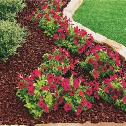 Vigoro 37.5 cu. ft. Red Recycled Rubber Mulch (25 Bags) 14 Vigoro 37.5 cu. ft. Red Recycled Rubber Mulch (25 Bags) -VIGOR Plants Shop vigoro rubber mulch gn15rd25 c3 1000
