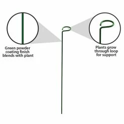 Vigoro 18 in. H x 1.50 in. W Steel Plant Prop -VIGOR Plants Shop vigoro tomato cages 611872 hd 1f 1000