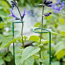 Vigoro 18 in. H x 1.50 in. W Steel Plant Prop -VIGOR Plants Shop vigoro tomato cages 611872 hd 44 1000