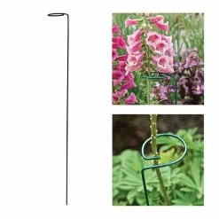 Vigoro 36 in. H x 2.24 in. W Metal Plant Prop 18 Vigoro 36 in. H x 2.24 in. W Metal Plant Prop -VIGOR Plants Shop vigoro tomato cages 613672 hd 44 1000