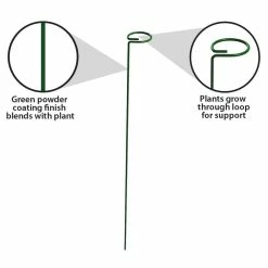 Vigoro 36 in. H x 2.24 in. W Metal Plant Prop 16 Vigoro 36 in. H x 2.24 in. W Metal Plant Prop -VIGOR Plants Shop vigoro tomato cages 613672 hd 4f 1000