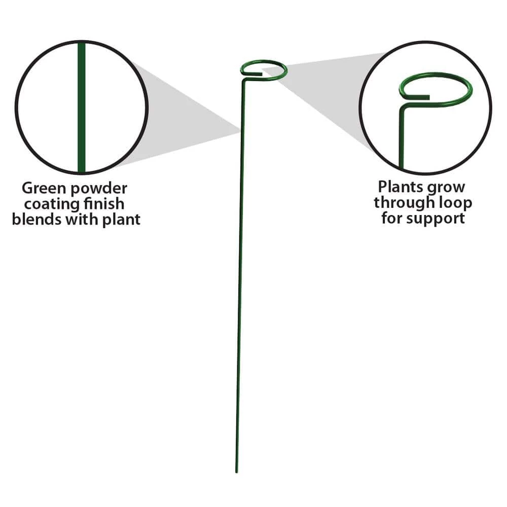 Vigoro 36 in. H x 2.24 in. W Metal Plant Prop 7 Vigoro 36 in. H x 2.24 in. W Metal Plant Prop - Image 5