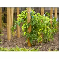Vigoro 5 ft. Wooden Garden Stake -VIGOR Plants Shop vigoro tomato cages rc 85n 4f 1000