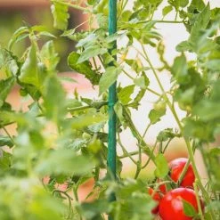 Vigoro 3 ft. Green Colored Steel Core Garden Stake -VIGOR Plants Shop vigoro tomato cages st3vg c3 1000