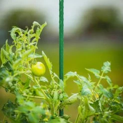 Vigoro 4 ft. Green Colored Steel Core Garden Stake -VIGOR Plants Shop vigoro tomato cages st4vg 76 1000