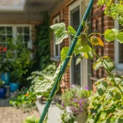 Vigoro 6 ft. Green Colored Heavy Duty Steel Core Garden Stakes -VIGOR Plants Shop vigoro tomato cages st6hdvg 4f 1000