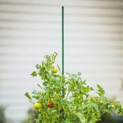 Vigoro 6 ft. Green Colored Steel Core Garden Stake -VIGOR Plants Shop vigoro tomato cages st6vg 66 1000