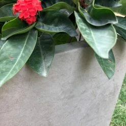 KANTE 31 in. L Rectangular Weathered Concrete/Fiberglass Indoor Outdoor Elegant Planter 18 KANTE 31 in. L Rectangular Weathered Concrete/Fiberglass Indoor Outdoor Elegant Planter -VIGOR Plants Shop weathered concrete kante plant pots osf0104b c80021 2 44 1000