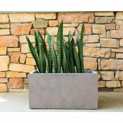 KANTE 31 in. L Rectangular Weathered Concrete/Fiberglass Indoor Outdoor Elegant Planter 16 KANTE 31 in. L Rectangular Weathered Concrete/Fiberglass Indoor Outdoor Elegant Planter -VIGOR Plants Shop weathered concrete kante plant pots osf0104b c80021 2 4f 1000
