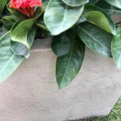 KANTE 31 in. L Rectangular Weathered Concrete/Fiberglass Indoor Outdoor Elegant Planter 19 KANTE 31 in. L Rectangular Weathered Concrete/Fiberglass Indoor Outdoor Elegant Planter -VIGOR Plants Shop weathered concrete kante plant pots osf0104b c80021 2 fa 1000