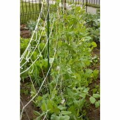 Vigoro 5 ft. x 8 ft. Sturdy Garden Trellis -VIGOR Plants Shop white vigoro tomato cages t008avg 44 1000