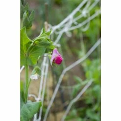 Vigoro 5 ft. x 8 ft. Sturdy Garden Trellis -VIGOR Plants Shop white vigoro tomato cages t008avg fa 1000